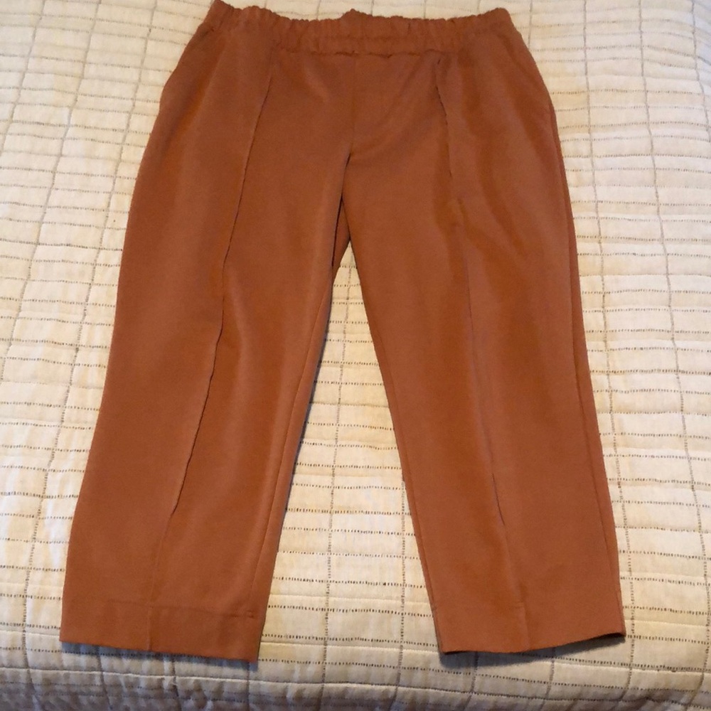 A New Day Knit Ankle Pant XL